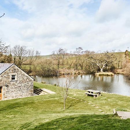Penuwch Boathouse- Lakeside Rural Cottage Ideal For Families With Indoor Heated Pool Кармартен Екстер'єр фото