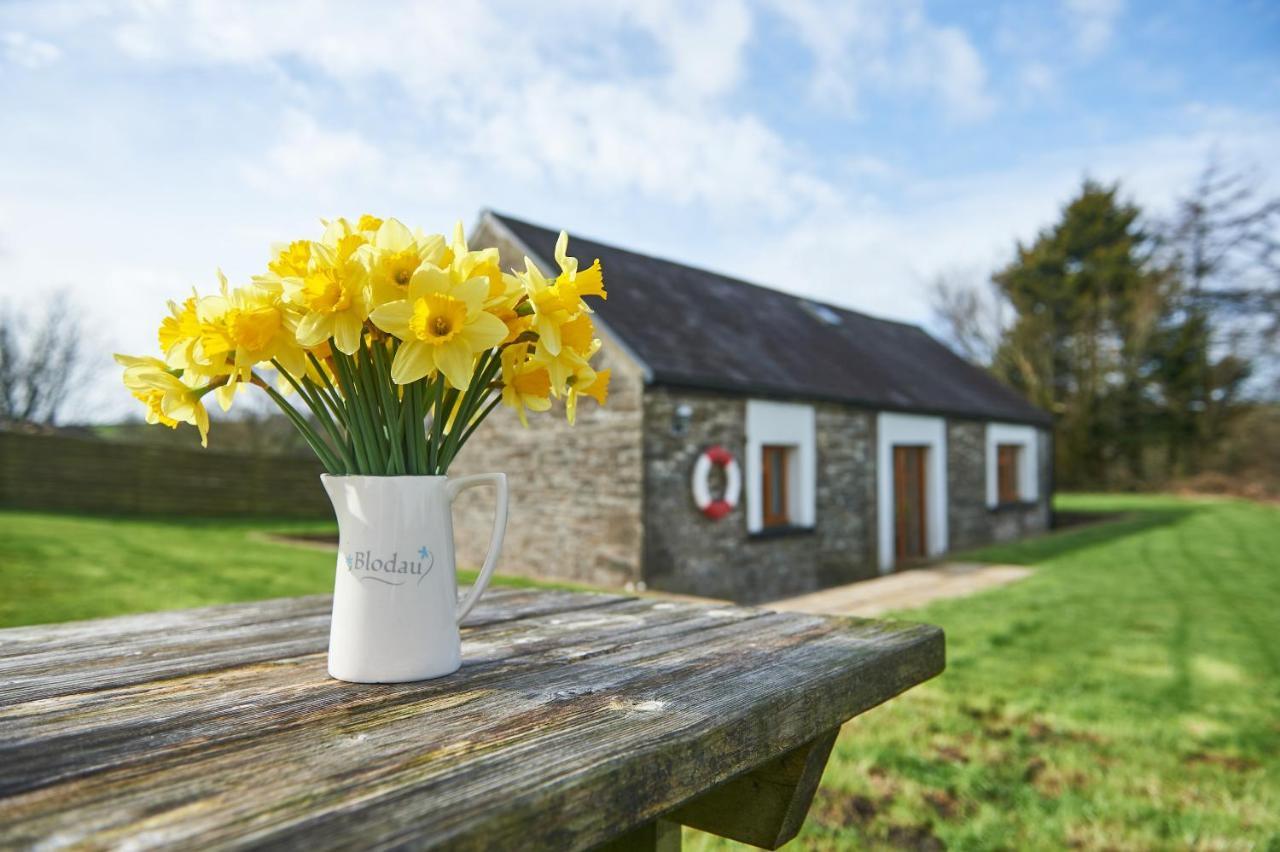 Penuwch Boathouse- Lakeside Rural Cottage Ideal For Families With Indoor Heated Pool Кармартен Екстер'єр фото